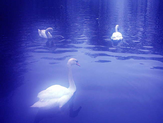 LES SIGNES DU REFUGE DU LAC