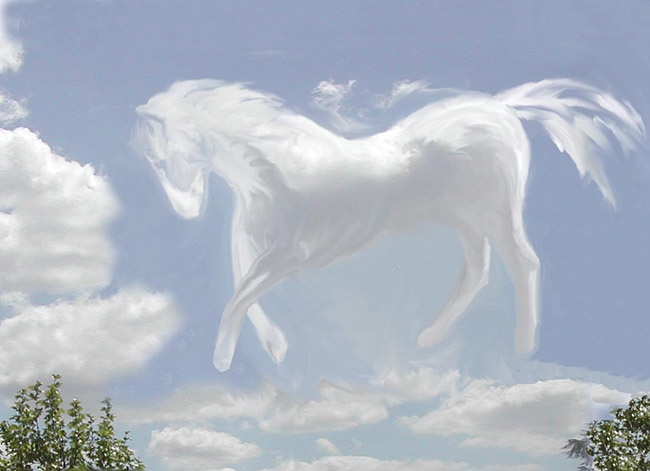 LE CHEVAL BLANC